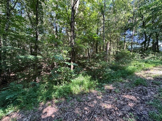 0 Cummins Rd Property Photo 8