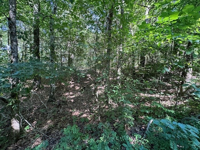 0 Cummins Rd Property Photo 9