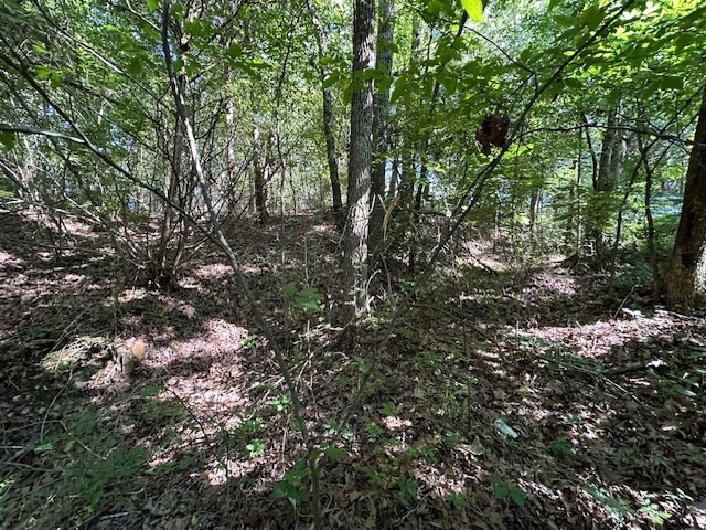 0 Cummins Rd Property Photo 10