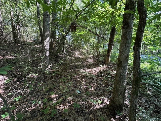 0 Cummins Rd Property Photo 12