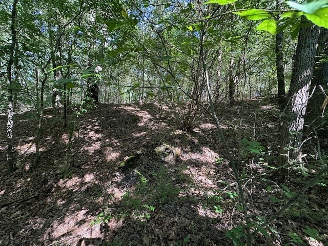 0 Cummins Rd Property Photo 13