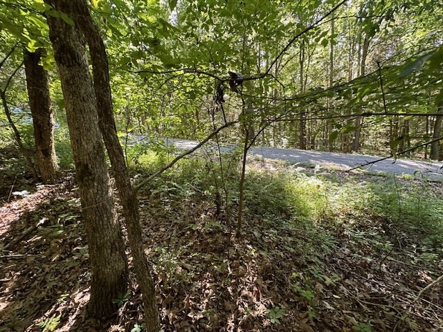 0 Cummins Rd Property Photo 14