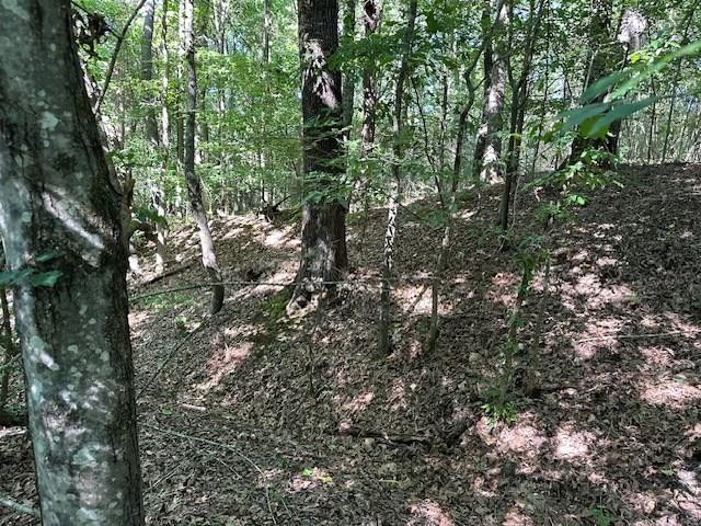 0 Cummins Rd Property Photo 1