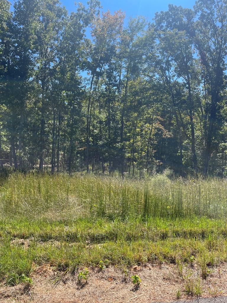 0 Beach Bluff Ln Property Photo 1