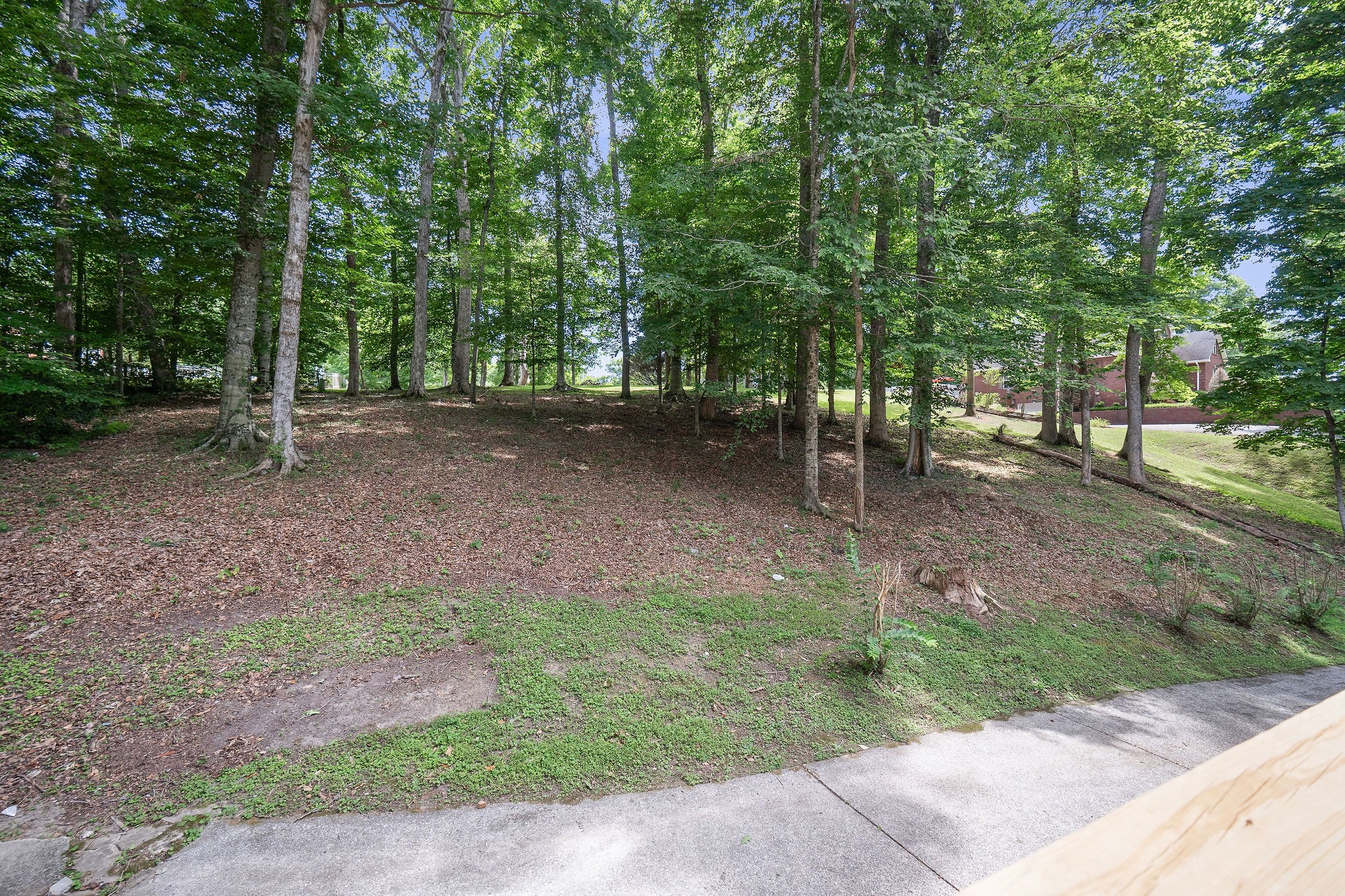 186 Hickory Blvd Property Photo 4