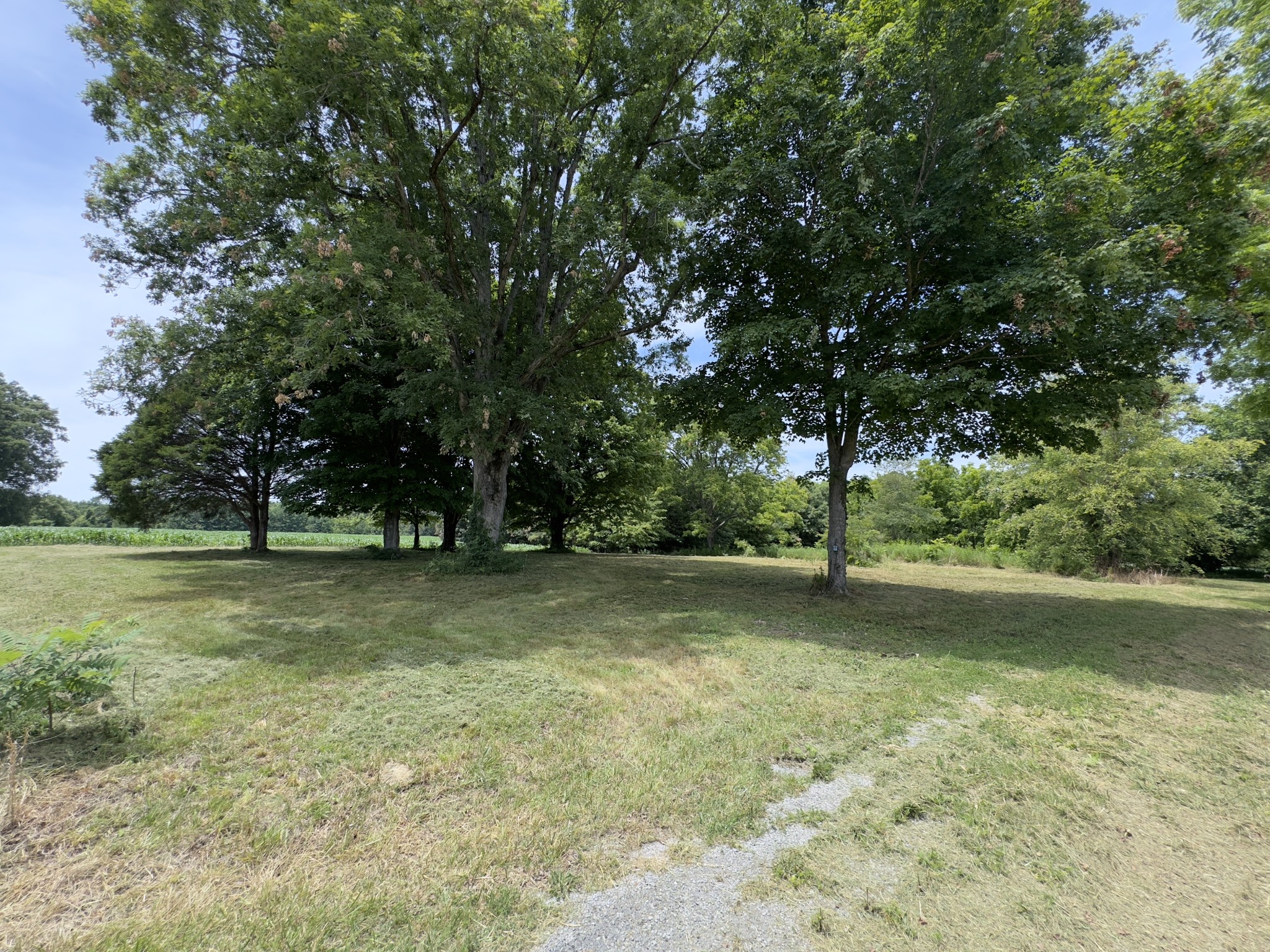 527 Lon Goff Rd Property Photo
