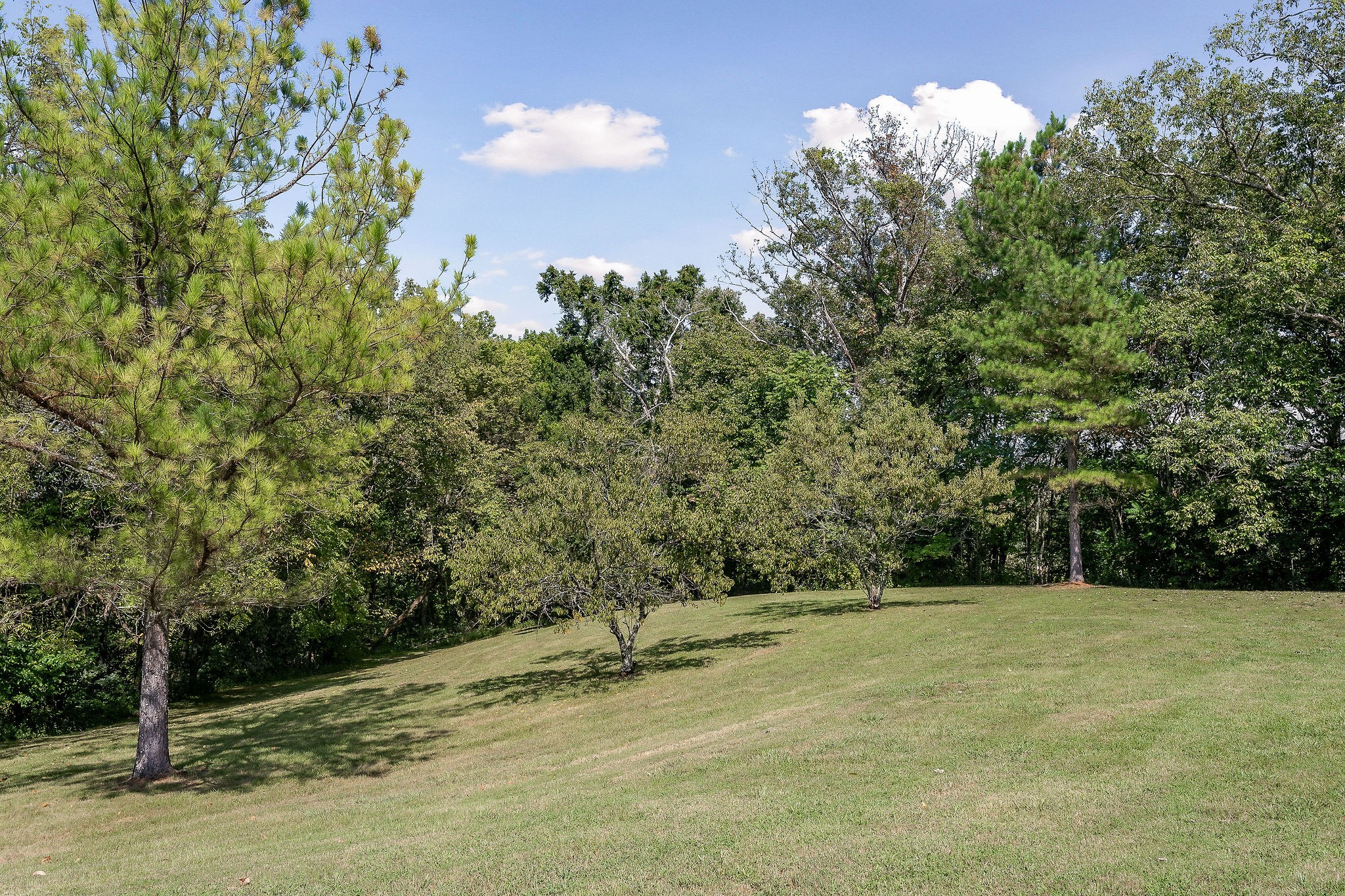1738 Oakley Rd Property Photo 60