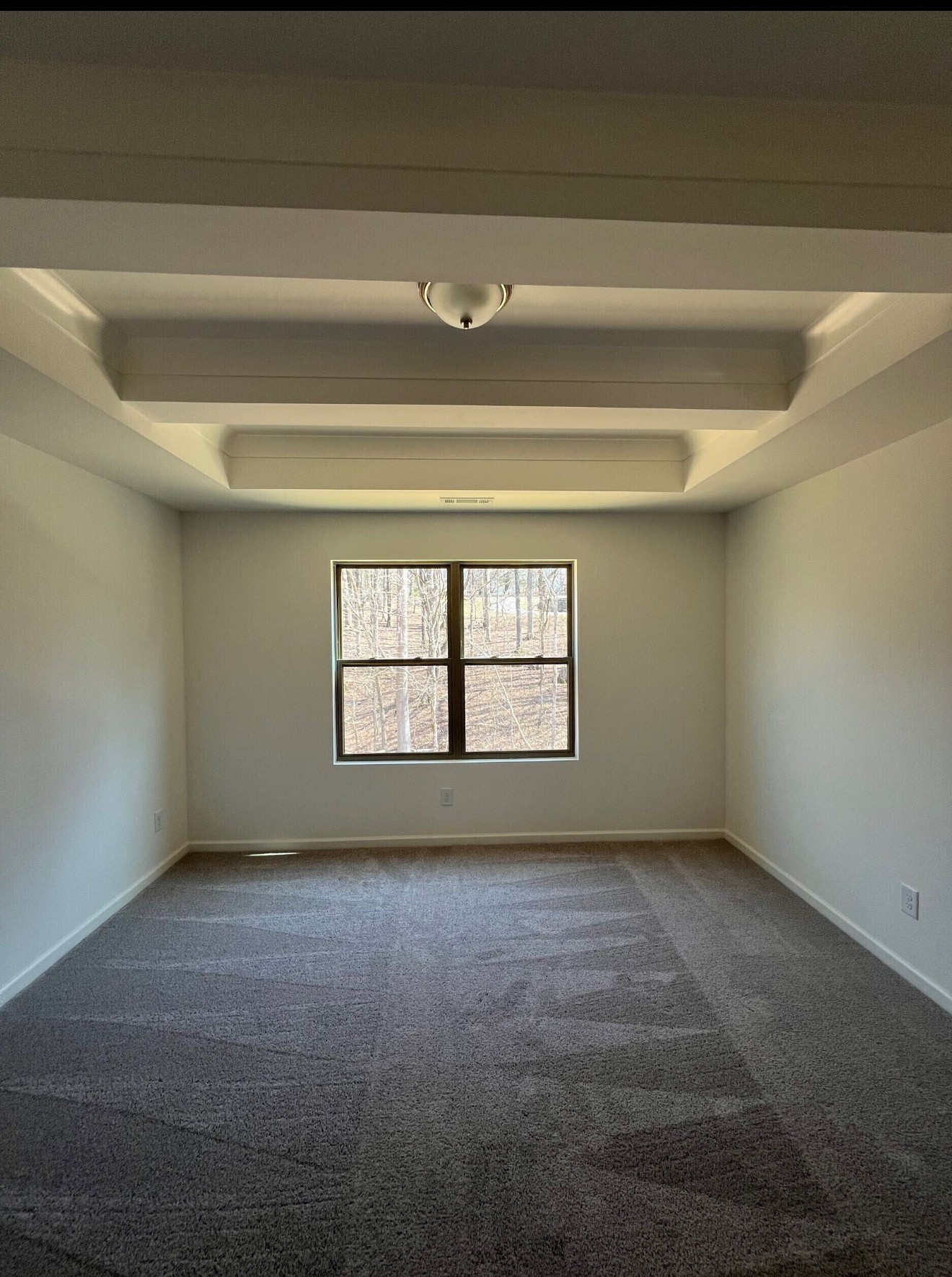1102 Bear Branch Circle Property Photo 4