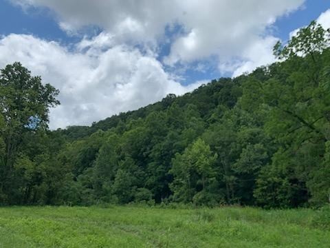 0 Wartrace Rd Property Photo 1