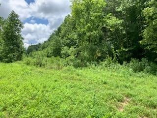 0 Wartrace Rd Property Photo 4