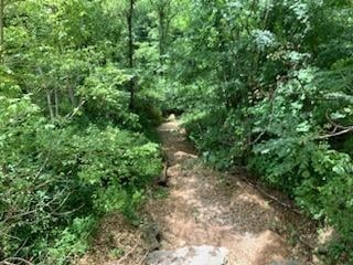 0 Wartrace Rd Property Photo 5