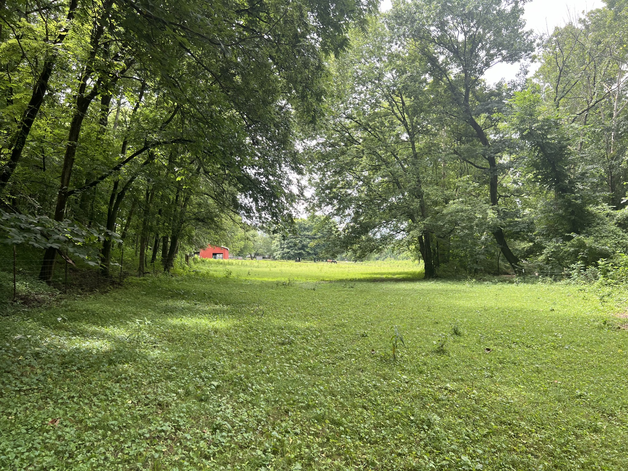1135 N Sumner Rd Property Photo 1