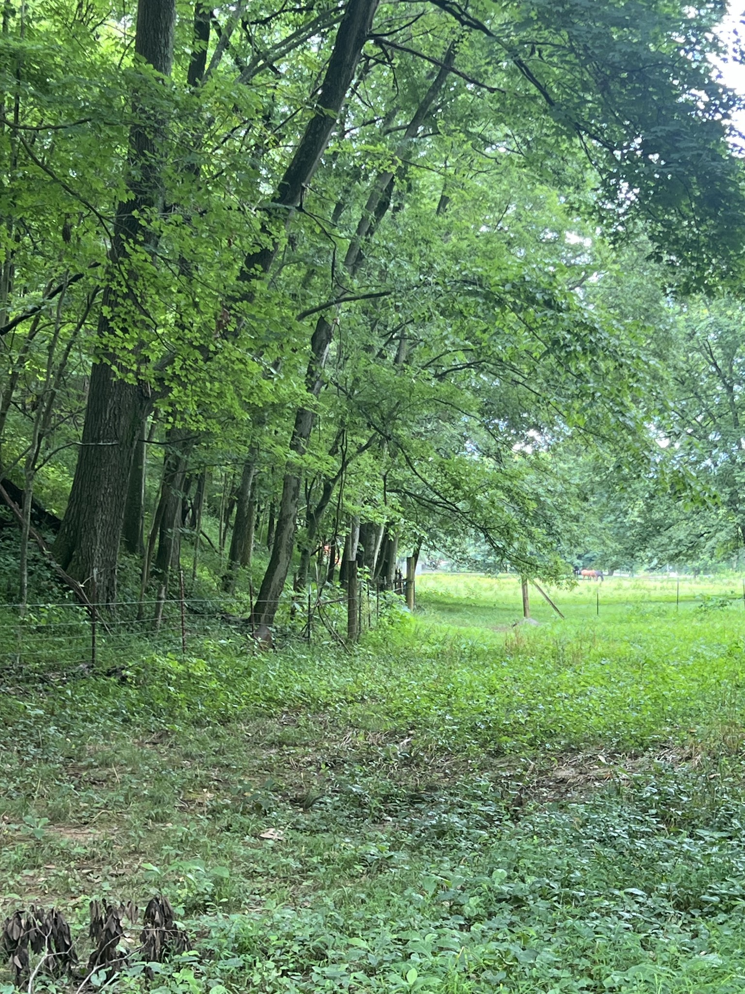 1135 N Sumner Rd Property Photo 3