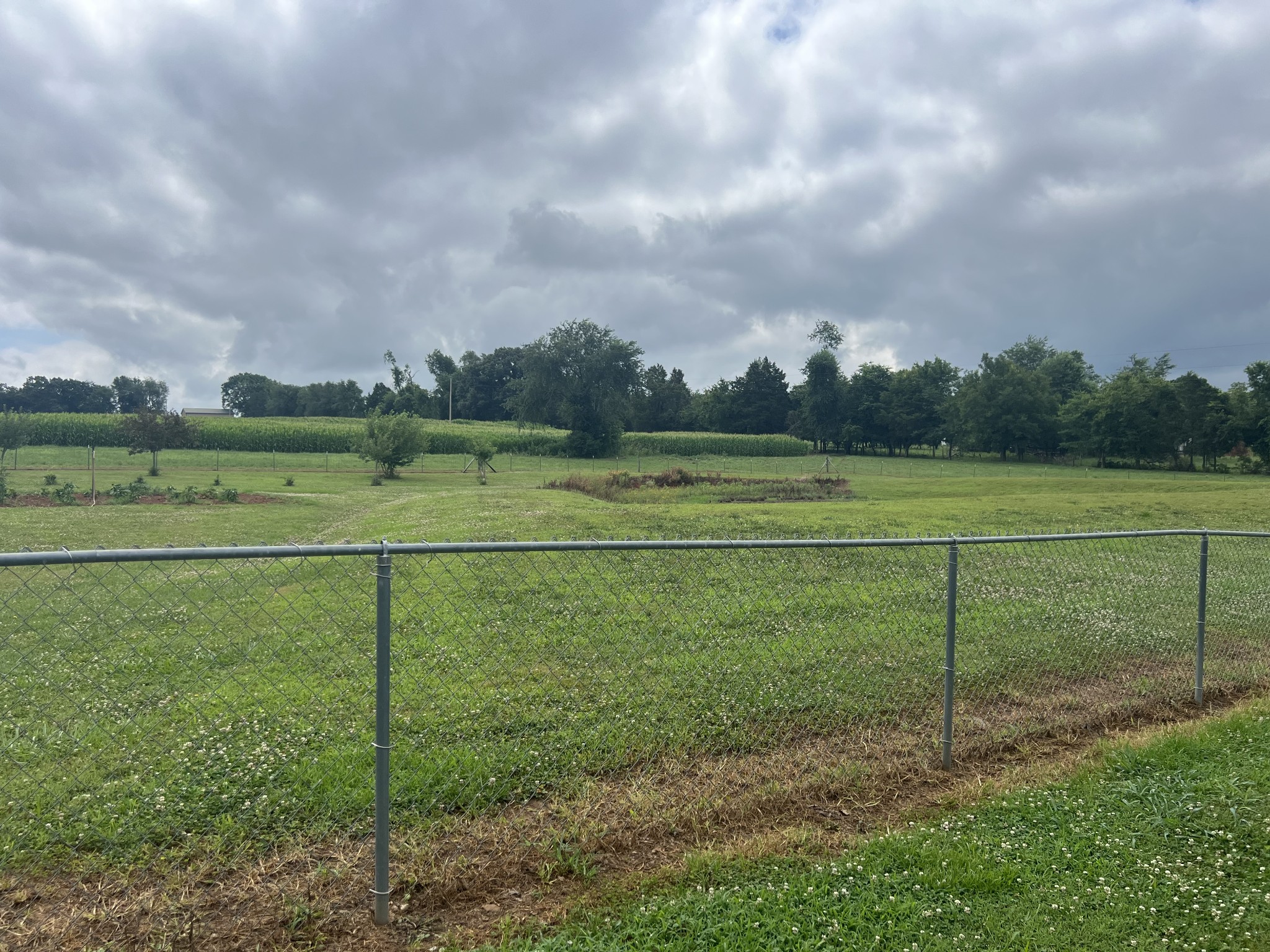 1135 N Sumner Rd Property Photo 18