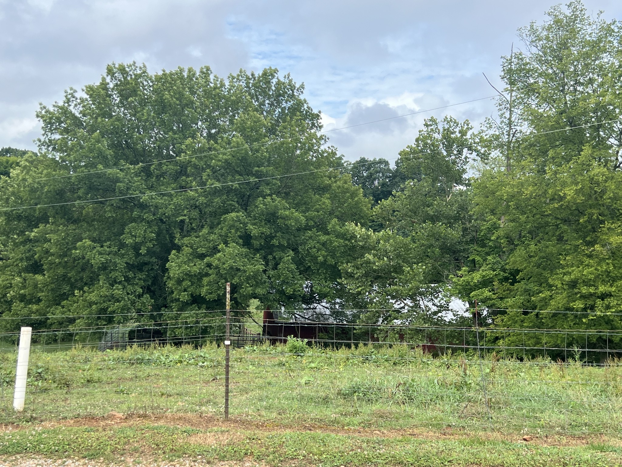 1135 N Sumner Rd Property Photo 27