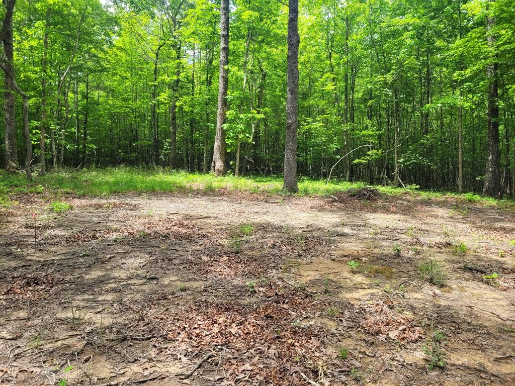 310a Goforth Rd Property Photo 11