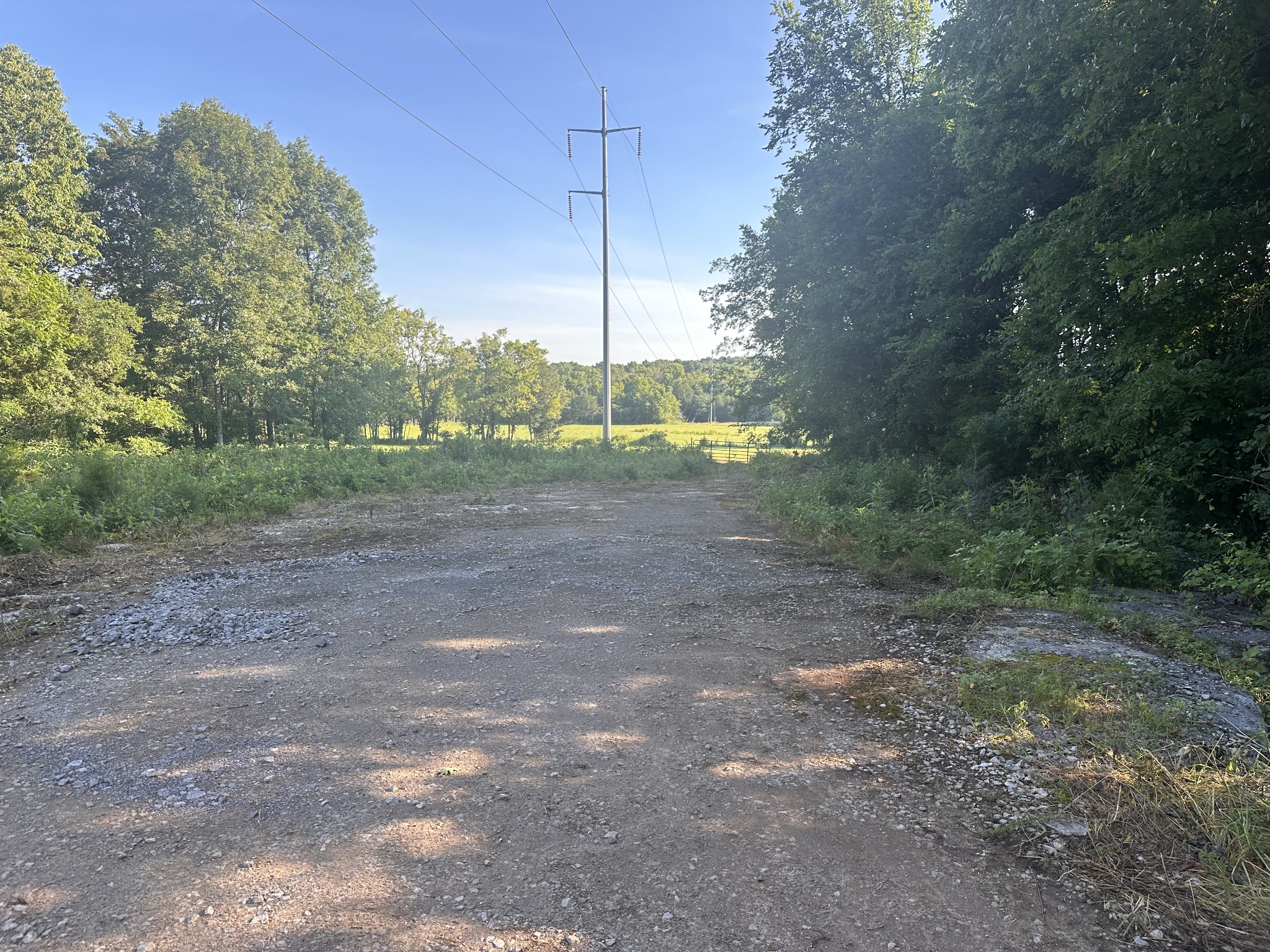 0 Rutledge Lane Tract 12 Property Photo 3
