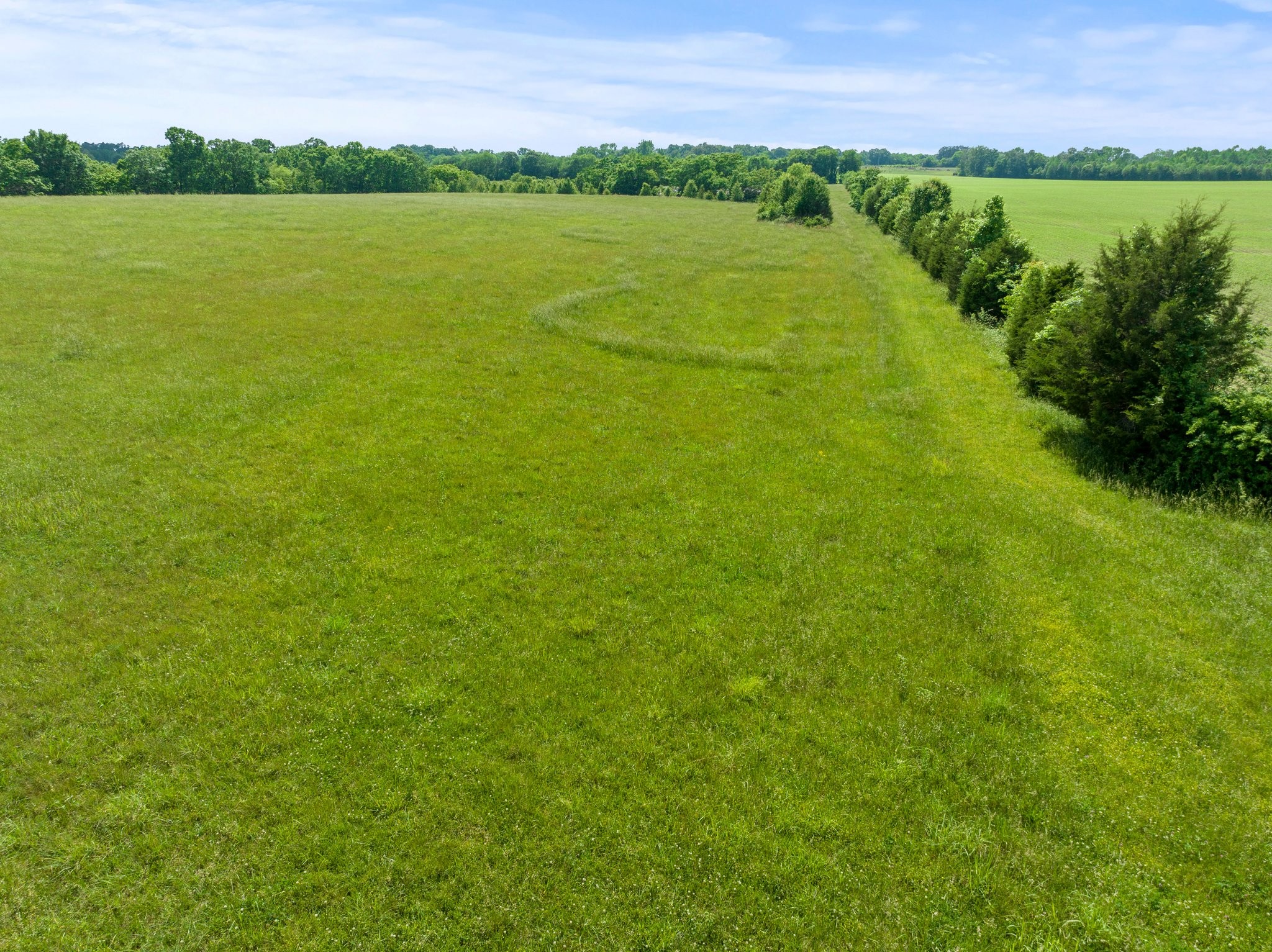 0 Cox Ln Property Photo
