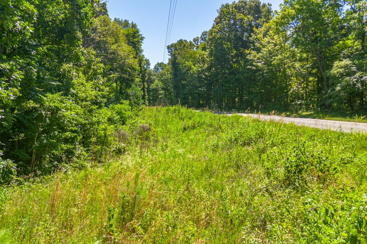 0 Chestnut Ridge Rd Property Photo 3