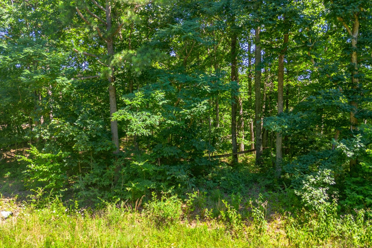 0 Chestnut Ridge Rd Property Photo 5