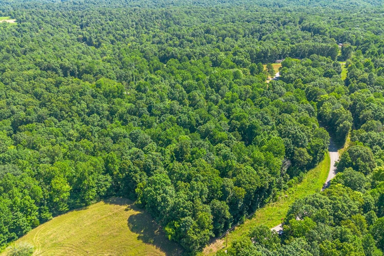 0 Chestnut Ridge Rd Property Photo 8