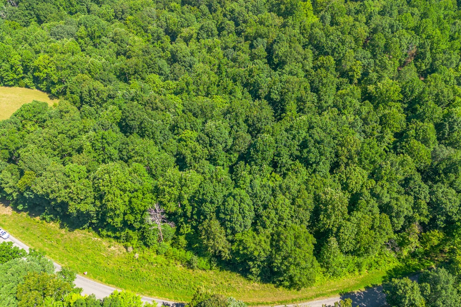 0 Chestnut Ridge Rd Property Photo 9