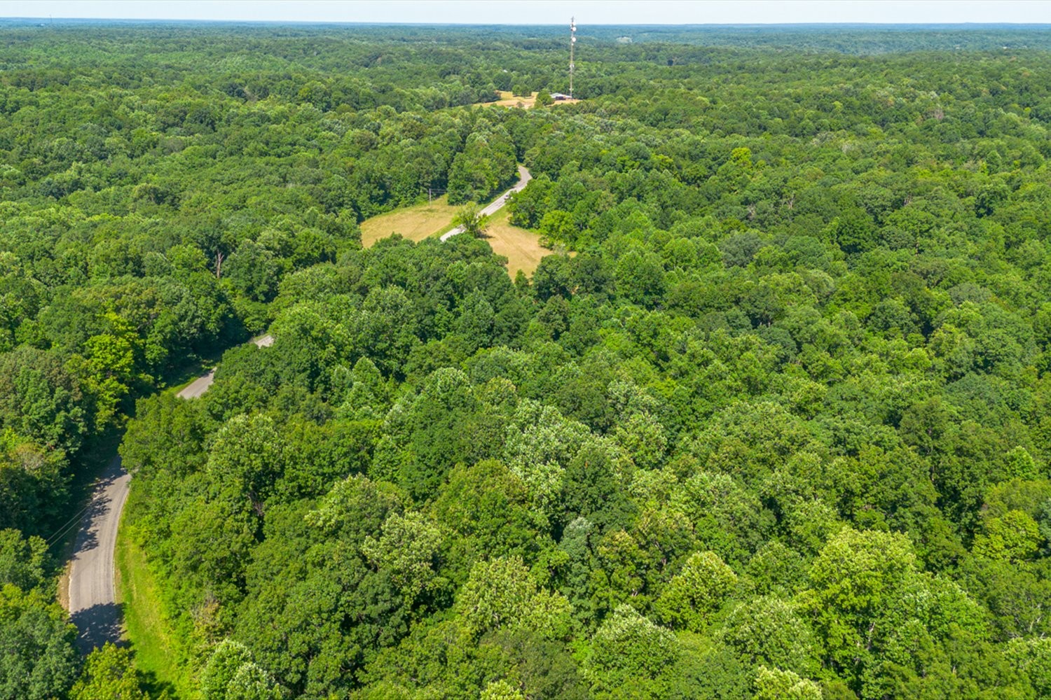 0 Chestnut Ridge Rd Property Photo 11