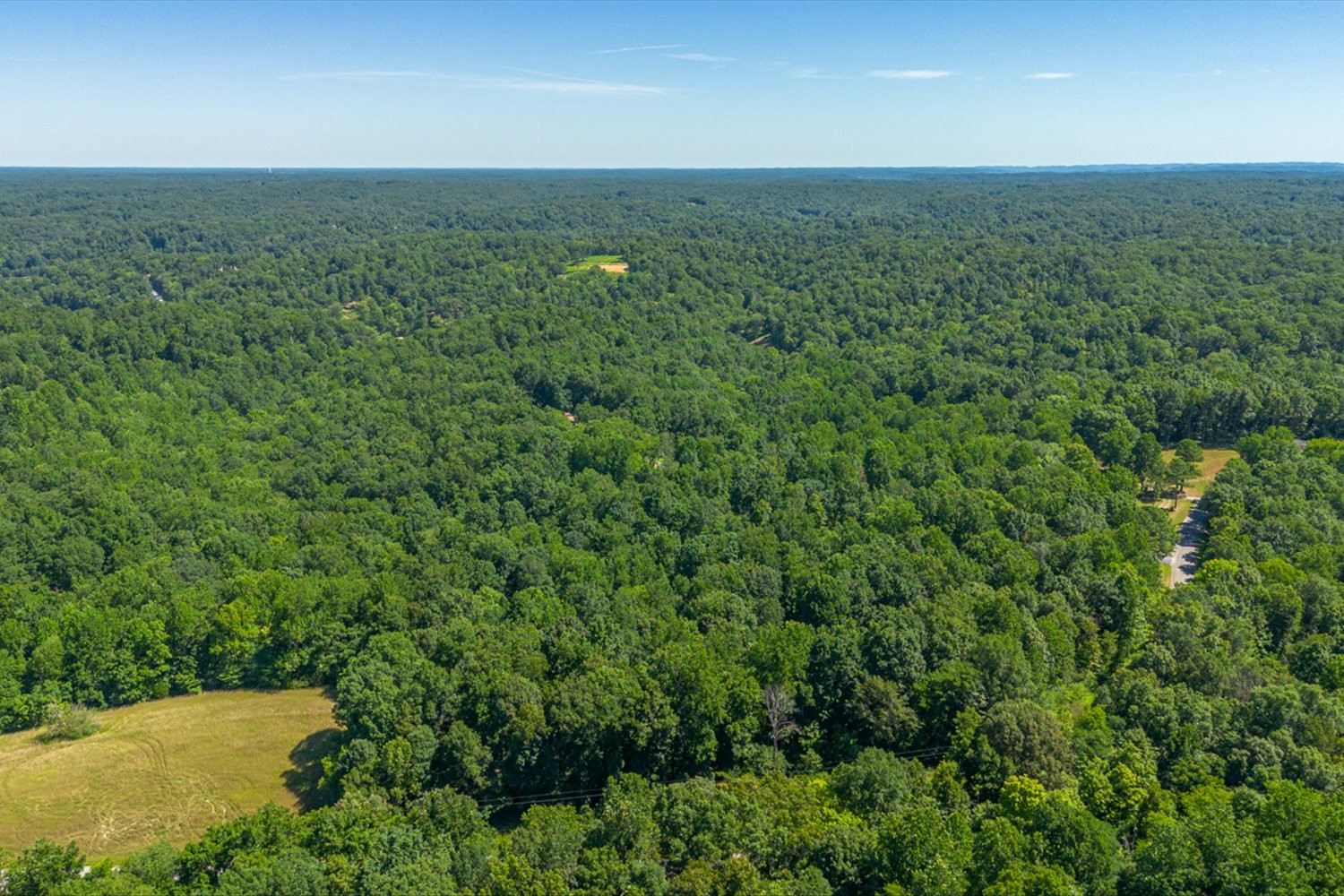 0 Chestnut Ridge Rd Property Photo 12