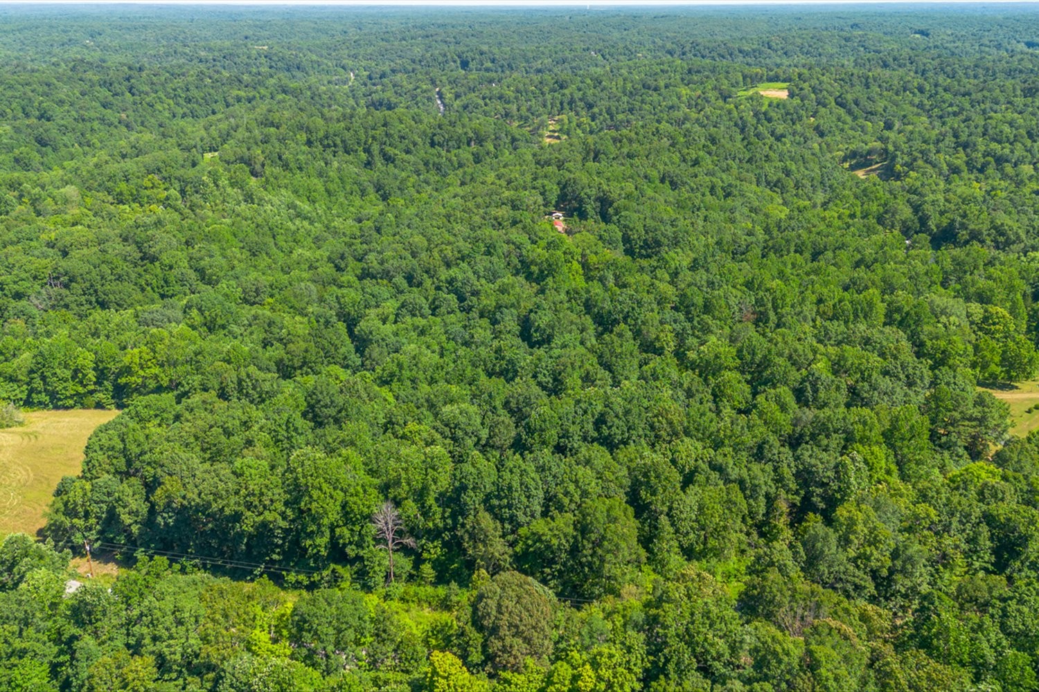 0 Chestnut Ridge Rd Property Photo 13
