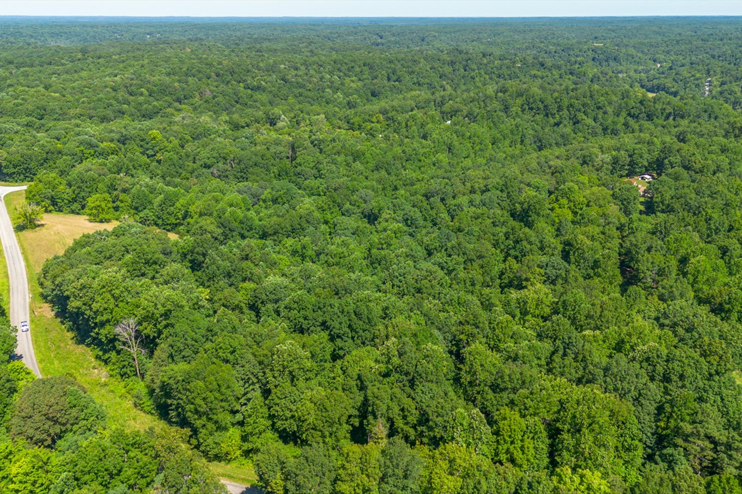 0 Chestnut Ridge Rd Property Photo 14