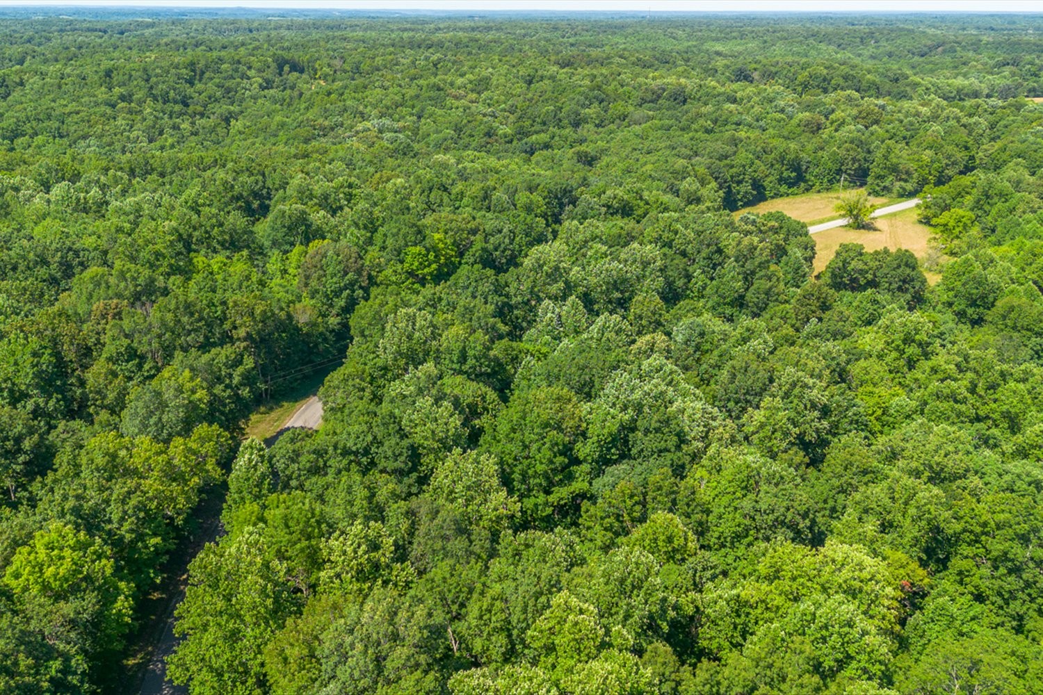 0 Chestnut Ridge Rd Property Photo 17