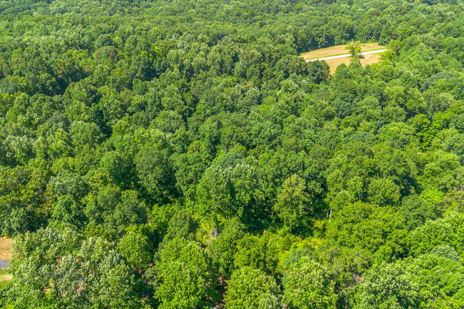 0 Chestnut Ridge Rd Property Photo 18