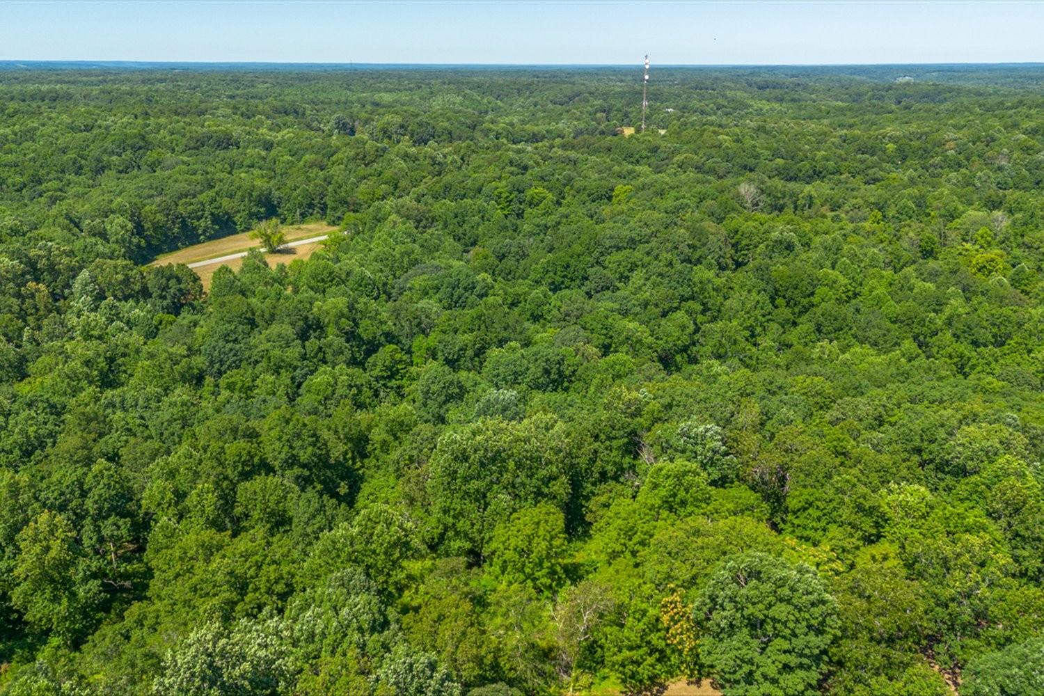 0 Chestnut Ridge Rd Property Photo 19