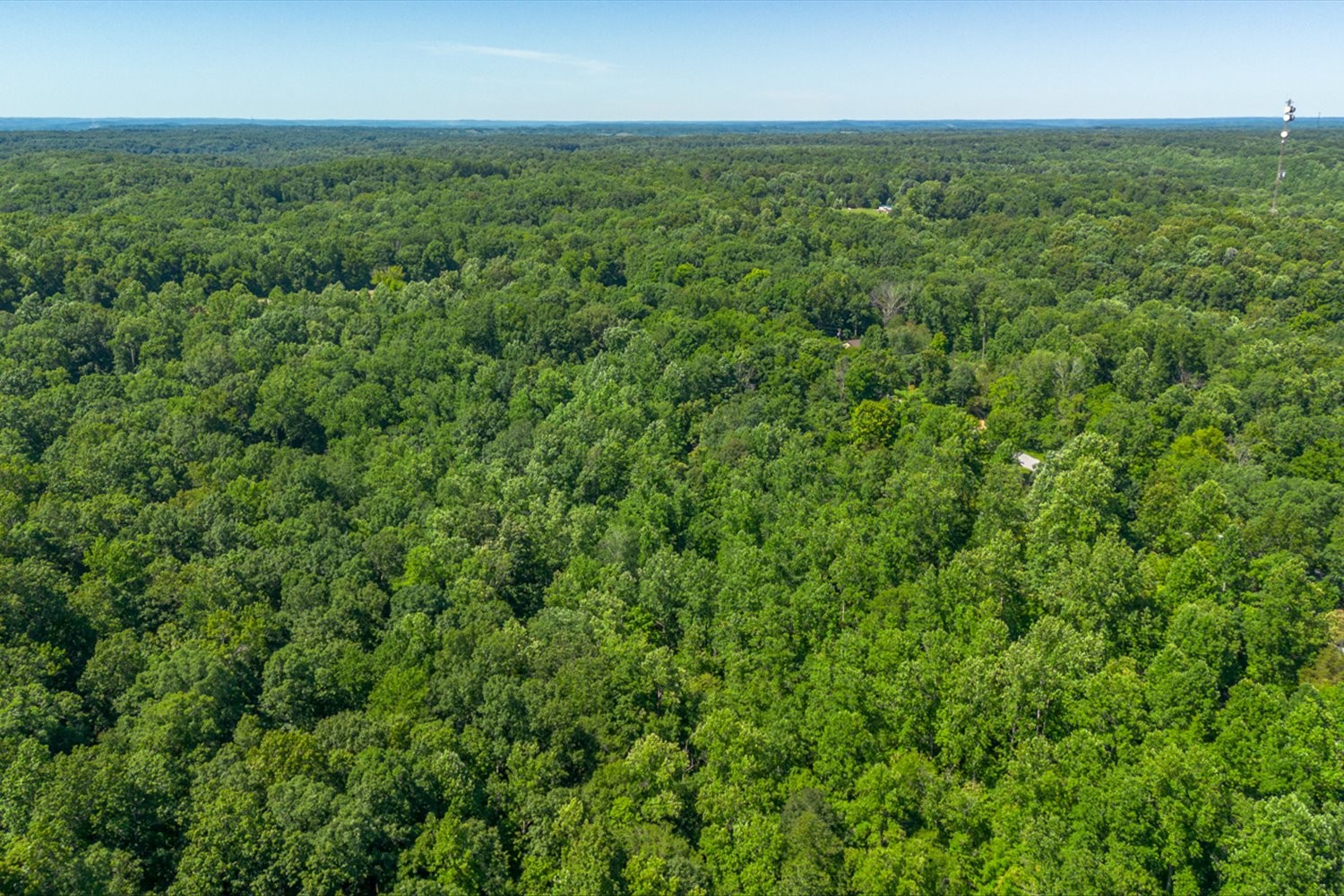 0 Chestnut Ridge Rd Property Photo 20