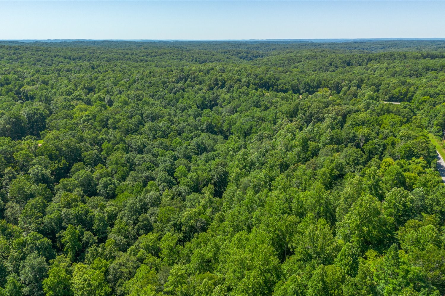0 Chestnut Ridge Rd Property Photo 21