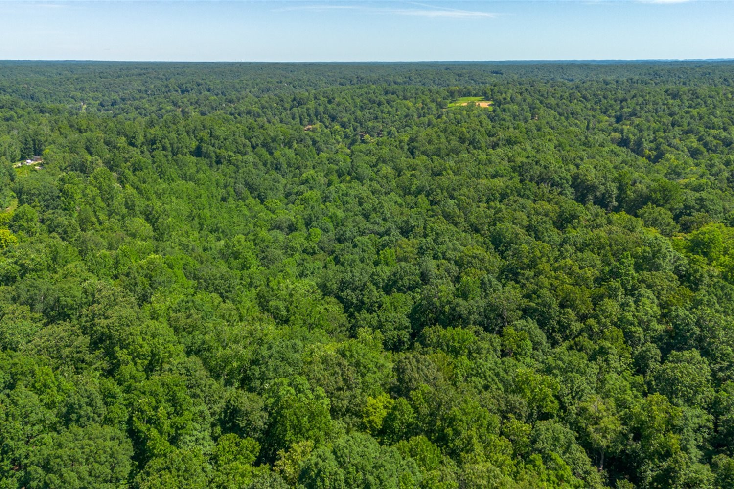 0 Chestnut Ridge Rd Property Photo 22