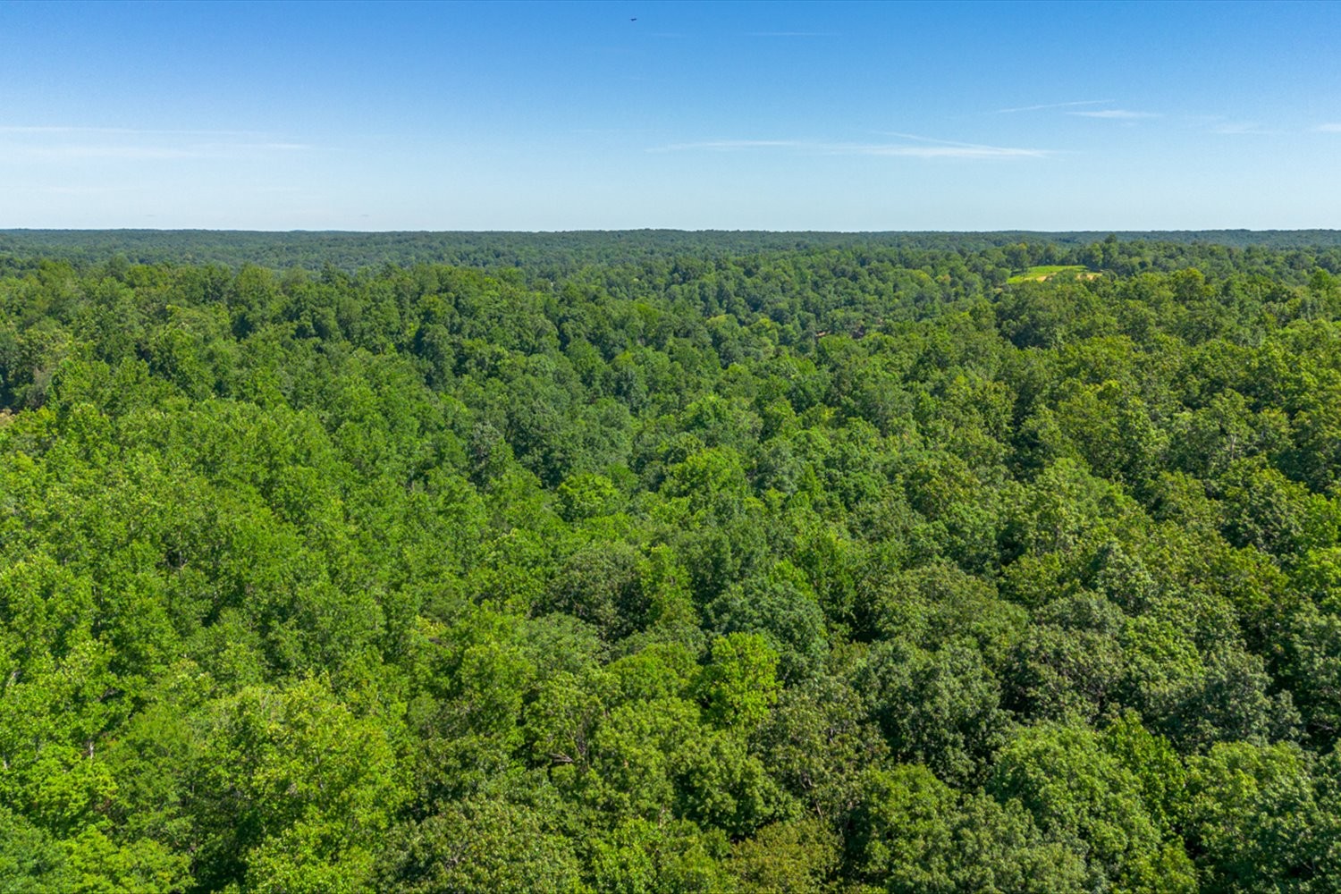 0 Chestnut Ridge Rd Property Photo 23