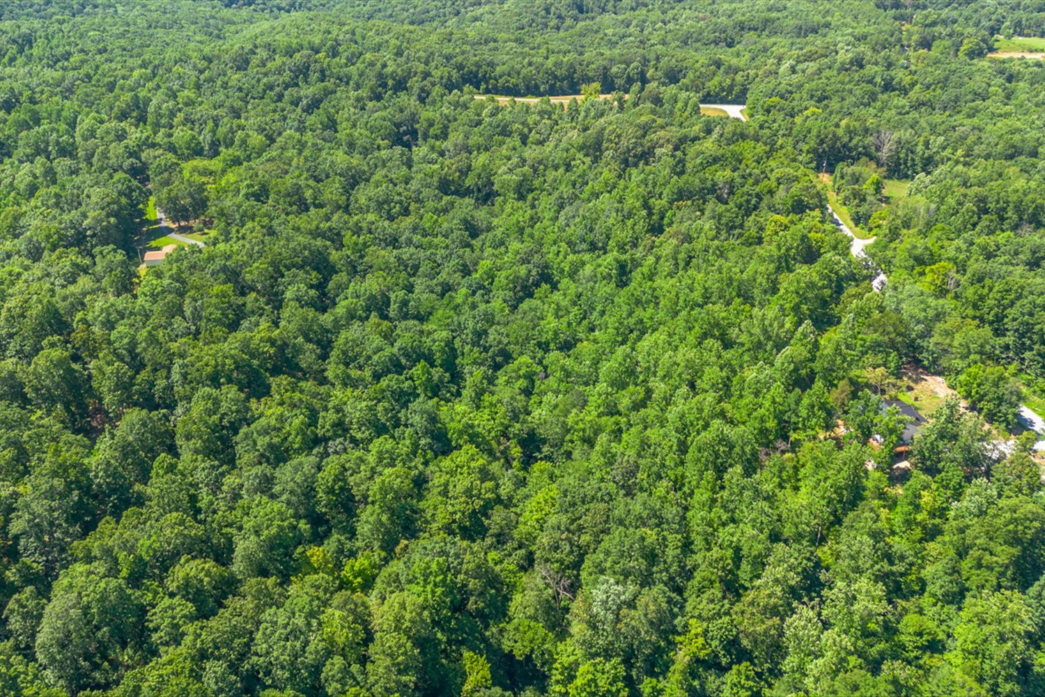 0 Chestnut Ridge Rd Property Photo 24