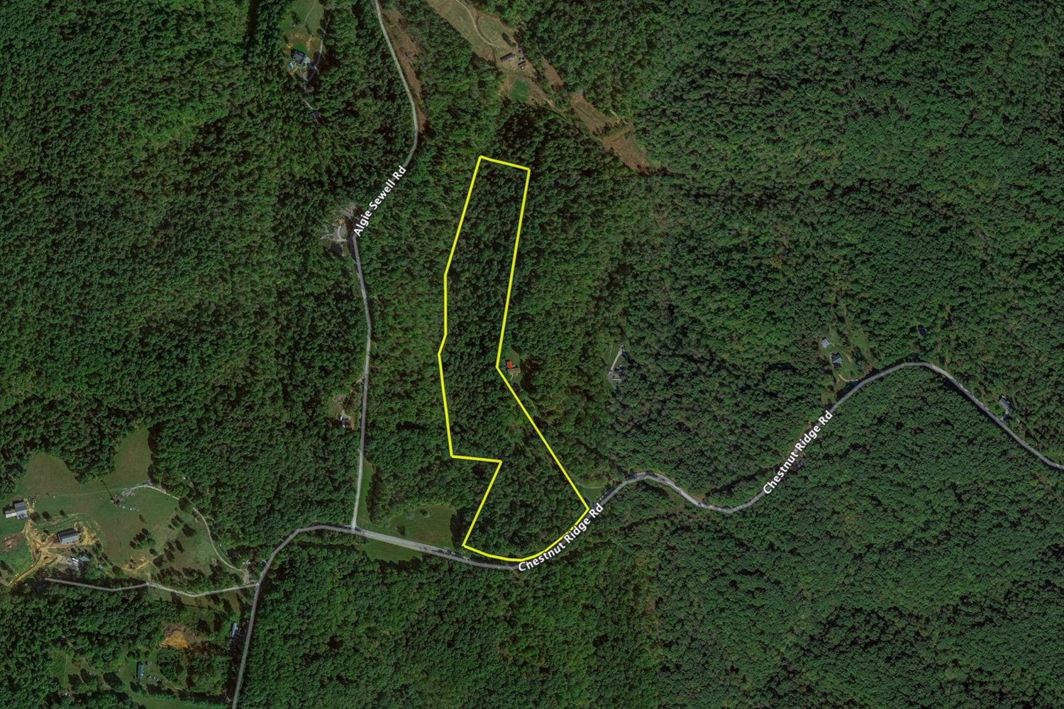 0 Chestnut Ridge Rd Property Photo 28