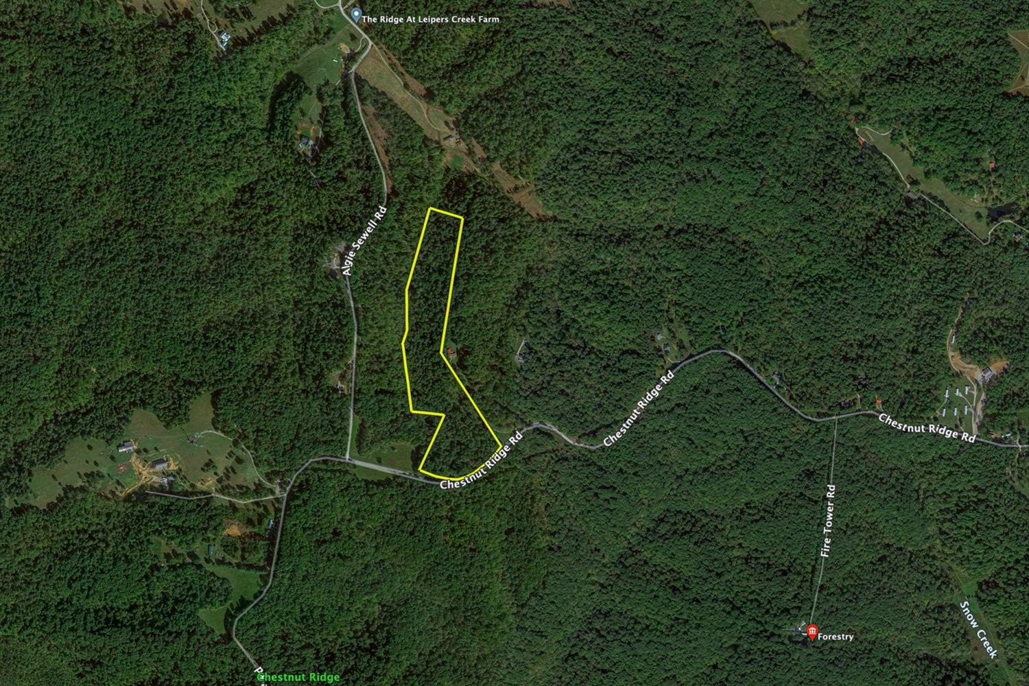 0 Chestnut Ridge Rd Property Photo 30