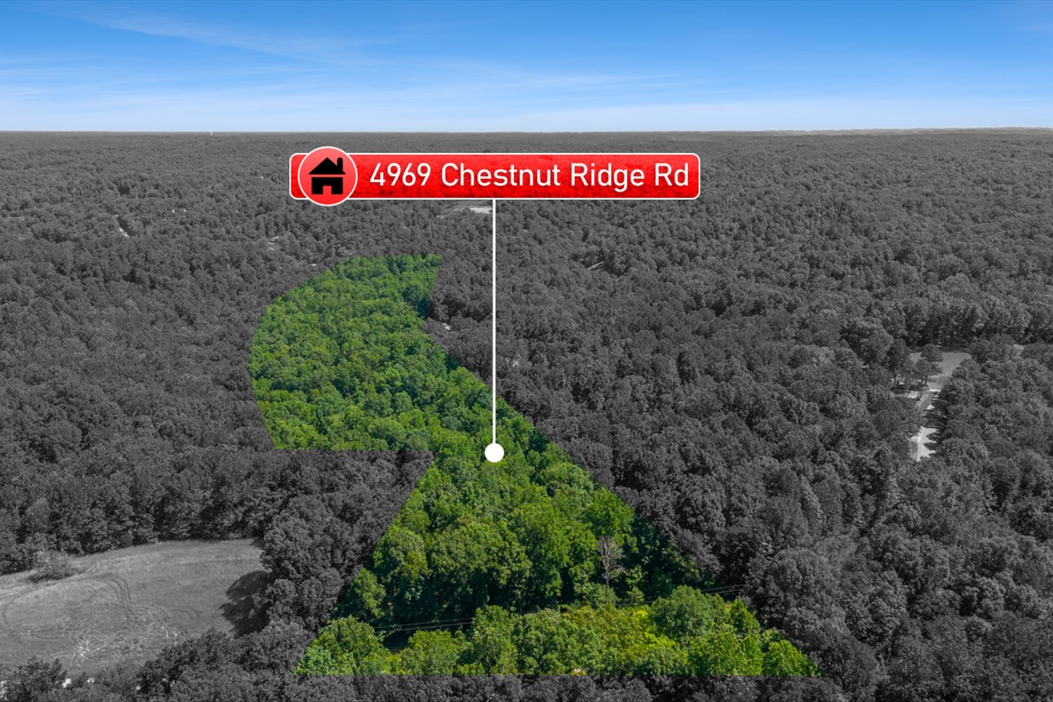 0 Chestnut Ridge Rd Property Photo 31