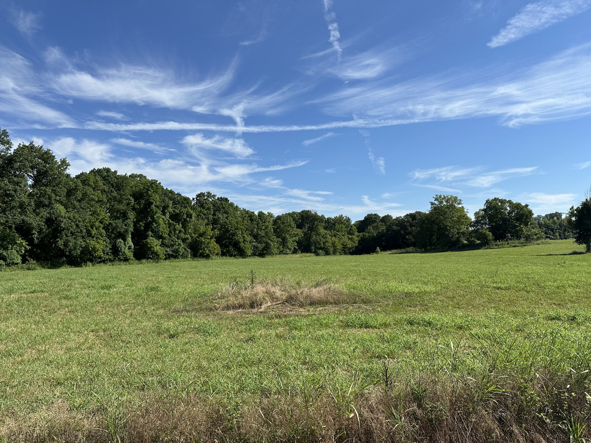 0 Golden Bear Gateway Property Photo 3