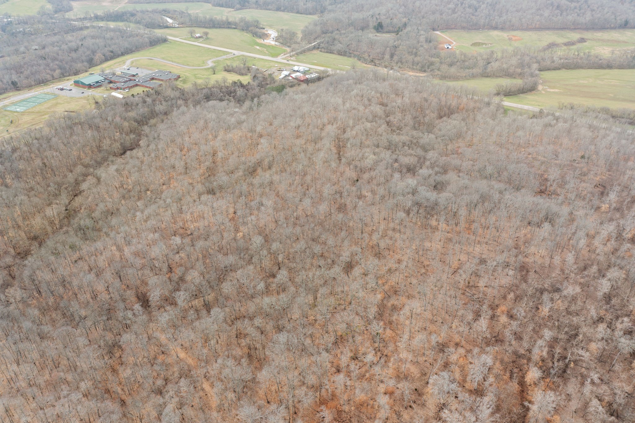 0 Highway 149 Property Photo 6