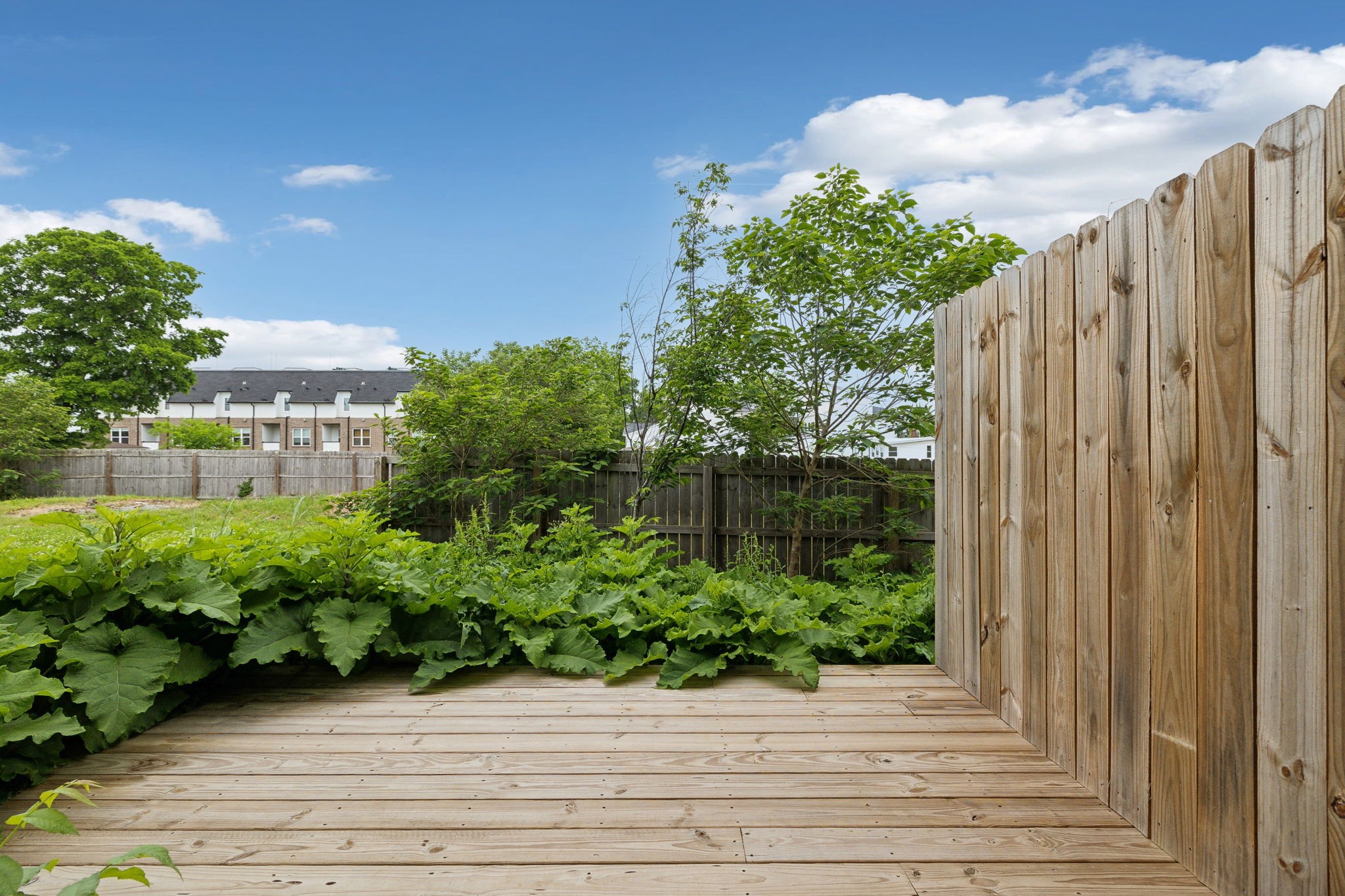 827 Ramsey St Property Photo 36