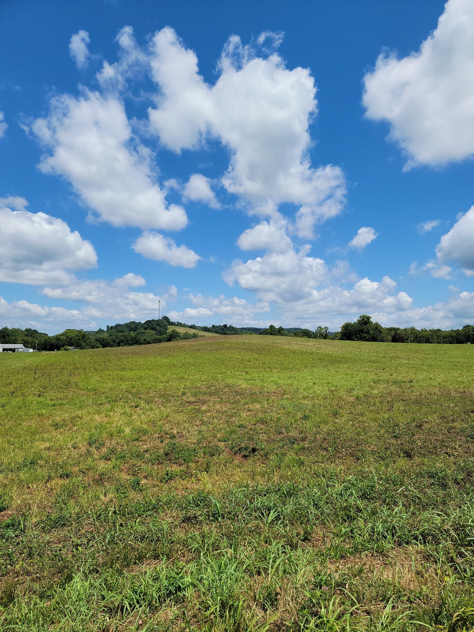 4d Oscar Crowell Rd Property Photo 2