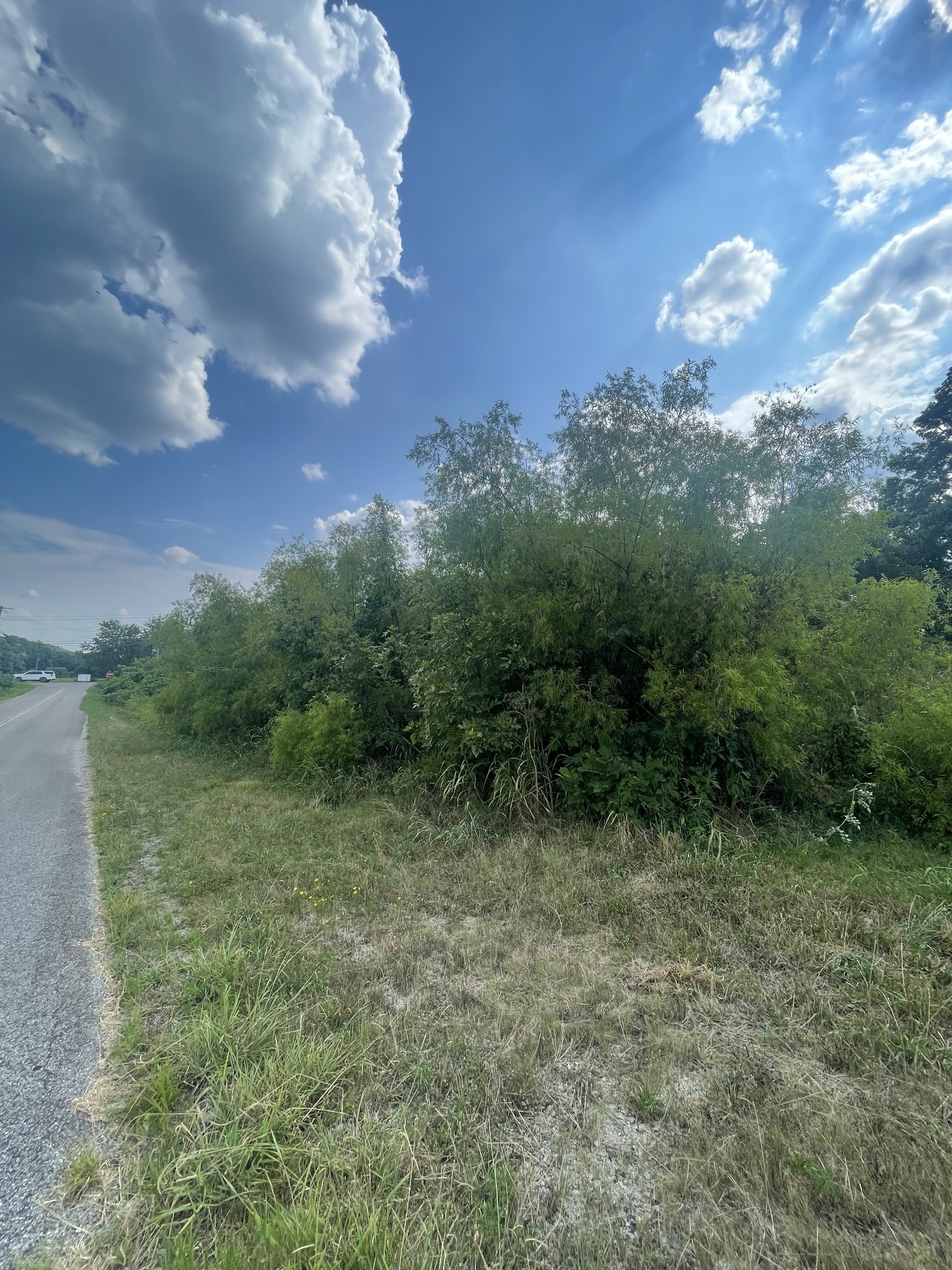 0 Leatherwood Creek Rd Property Photo 2