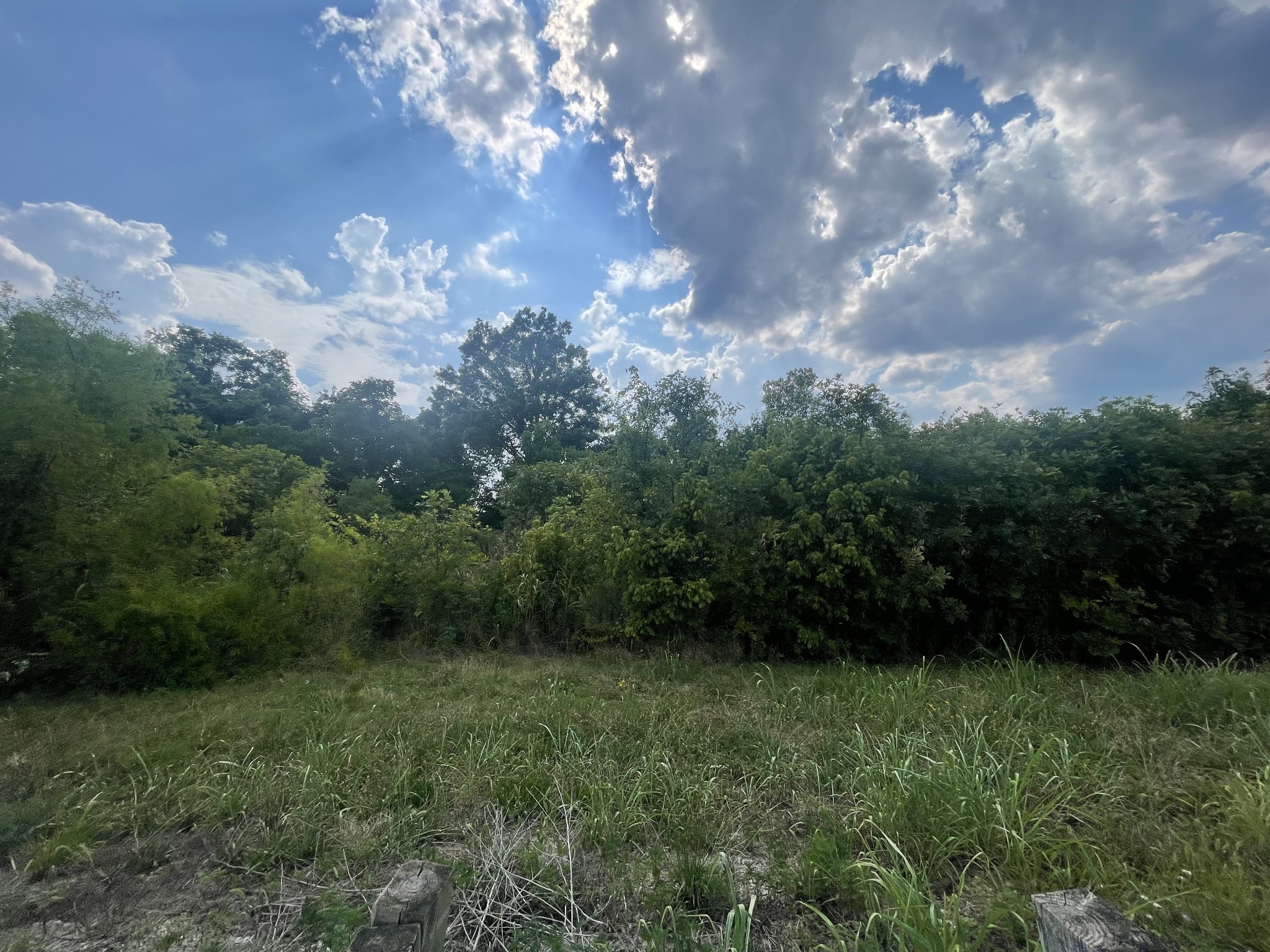 0 Leatherwood Creek Rd Property Photo 4