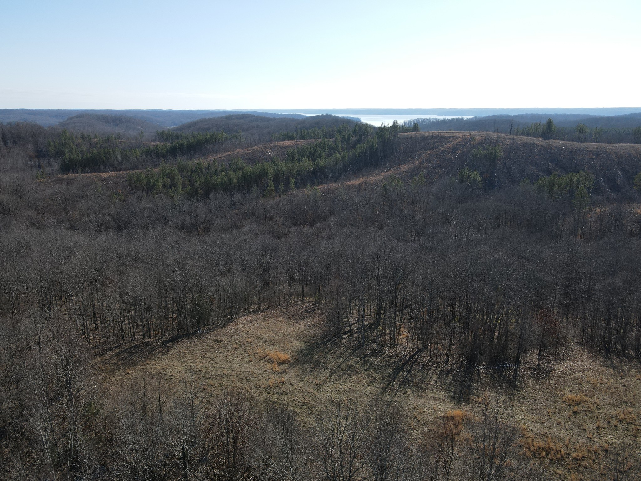0 White Oak Road Property Photo 2