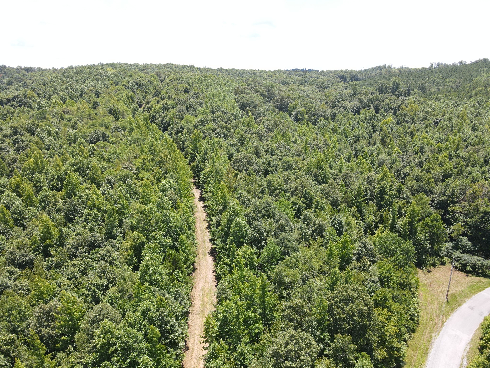 0 White Oak Road Property Photo 3