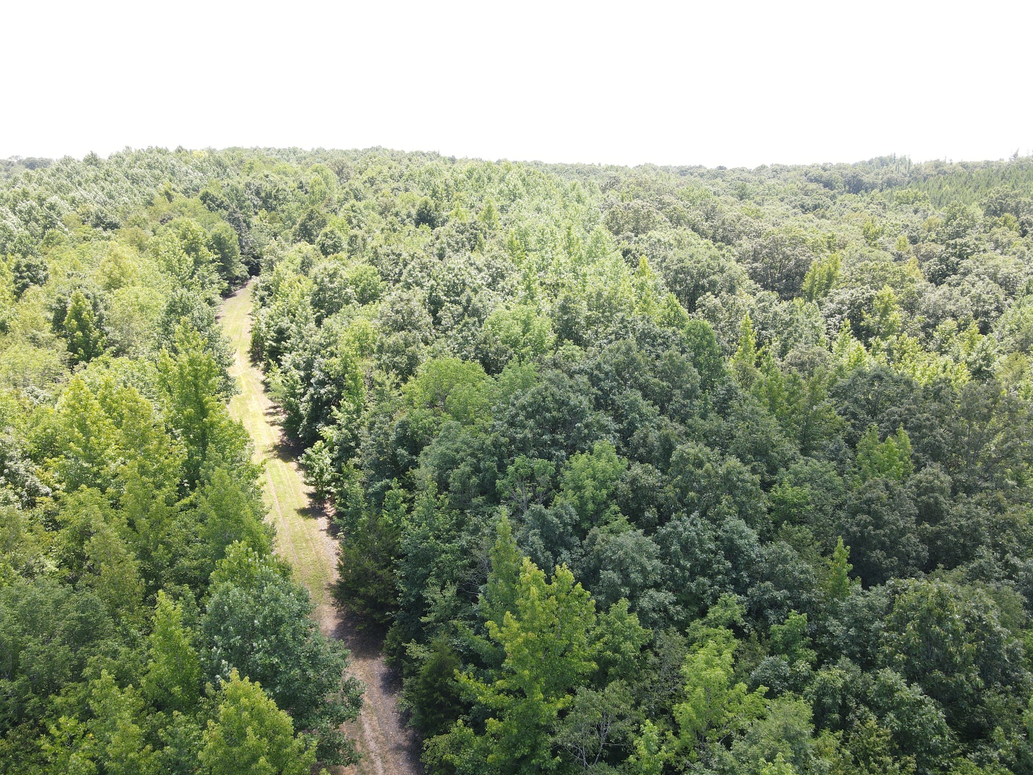0 White Oak Road Property Photo 4